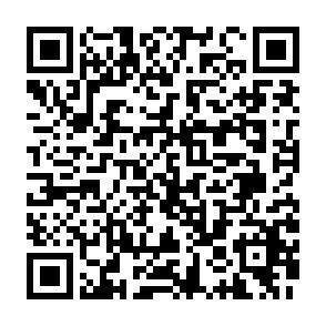 QR-Code - 