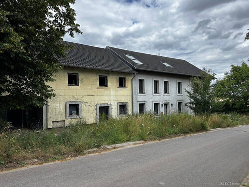 Frontansicht - Aus Bankverwertung: zwei teilrenovierte Wohnhäuser mit mehreren Wohneinheiten und großem Grundstück