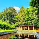 Schwimmbad/Teich - 