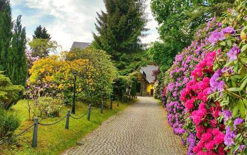 Zufahrt - Hotel, Pension, Gasthof in Schwarzenberg zum Kaufen