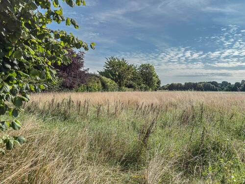 schöne und ruhige Feldrandlage - Grundstück in Fröndenberg/Ruhr