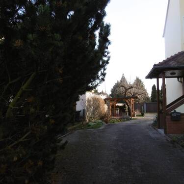 Zufahrtsweg zum Eingang - 