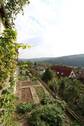 Gartenanteil - 