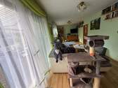 IMG_8571.jpeg - 