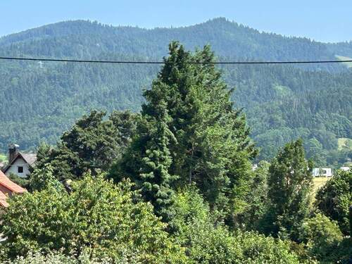 Der Ausblick - Ruhiges residieren im Dreisamtal - DG Wohnung mit Weitblick