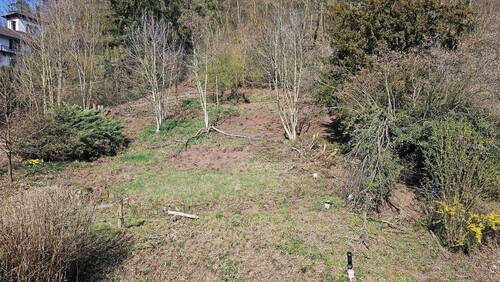 Blick Bergseite (3).jpg - Mehrfamilienhaus, Wohnhaus mit 682,00 m&sup2; in Lambrecht zum Kaufen