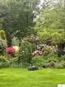 Blick in den Garten - 