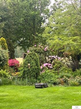 Blick in den Garten - 