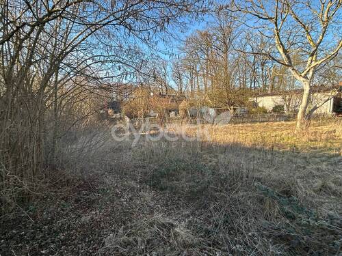Bild 2 - Grundstück zum Kaufen in Bienenbüttel / Wichmannsburg