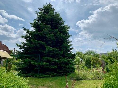 Garten - 