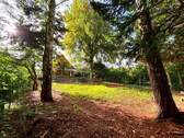 Garten Blick zum Haus - Grundstück in Hamburg zum Kaufen