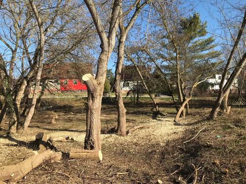 Boden des Baugrundstückes - 