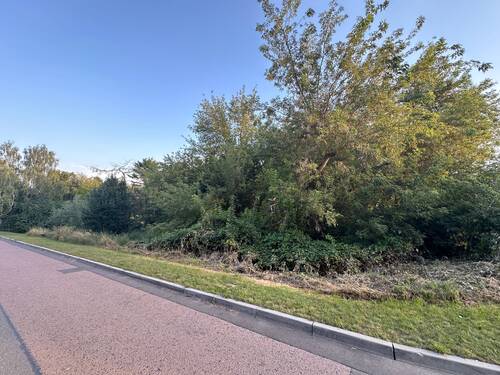 Straßenansicht Birkenhang - 