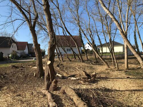 Bodenbeschaffenheit der Bauinsel - Grundstück zum Kaufen in Hohenmölsen