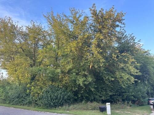 Ansicht der Bauinsel - 