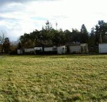 Kleines Baugrundstück Eigene Scholle in Cottbus