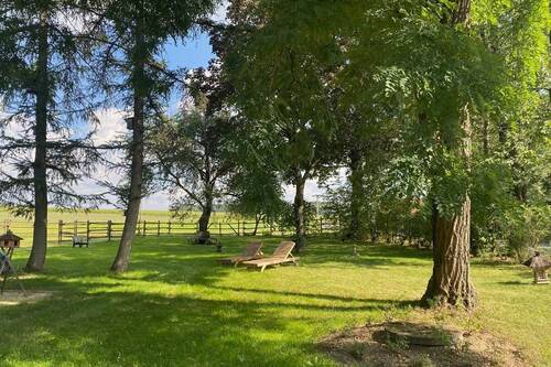Blick in den Garten - 