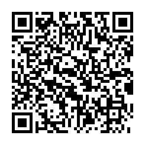 QR-Code - 