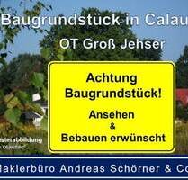Tiny Haus!? - Baugrundstück zwischen Calau und Luckau - OT Groß Jehser