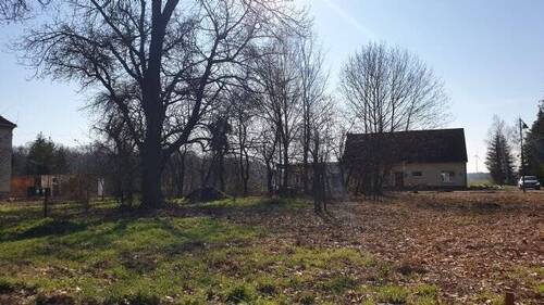 Grundstück Blickrichtung Süd - Grundstück zum Kaufen in Calau