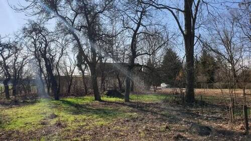 Grundstück Blickrichtung Süd 2 - Grundstück in Calau