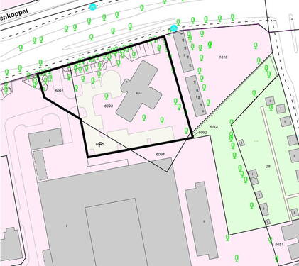 Flurkartenausschnitt - 