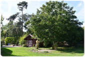 Bild5 - 