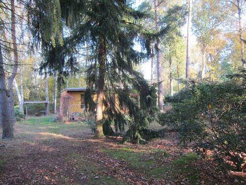 Bild 3 - Grundstück in Klosterfelde