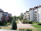 Blick ins Grüne (Sommer) - 