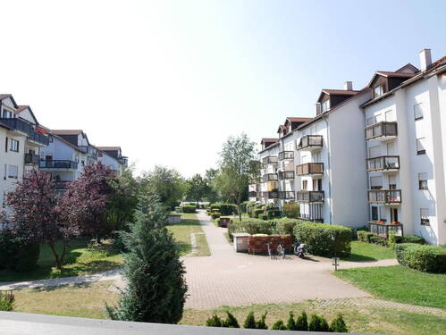 Blick ins Grüne (Sommer) - 
