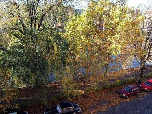 Blick aus dem Fenster.jpg - 