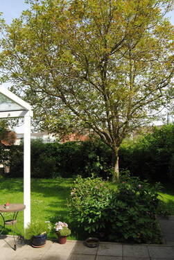 Garten - 