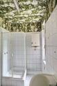 Duschbad EG - 