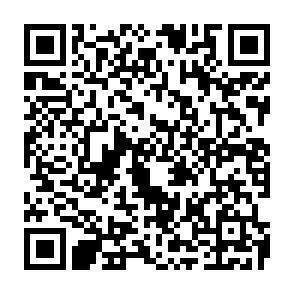 QR-Code - 