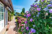 Blumenpracht - Einfamilienhaus mit 30,00 m² in Glowe / Polchow zum Kaufen