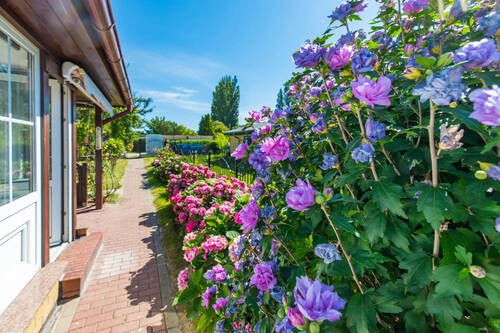 Blumenpracht - Einfamilienhaus mit 30,00 m² in Glowe / Polchow zum Kaufen