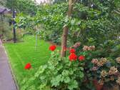 Garten Rechts - 