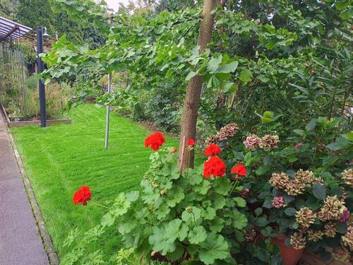 Garten Rechts - 