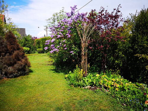Garten - 