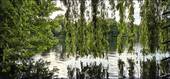 Heiliger See - 