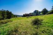 Grundstücksblick nach Südosten - Grundstück in Mossautal / Hiltersklingen zum Kaufen