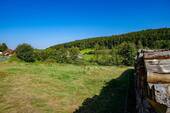 Natur pur - 