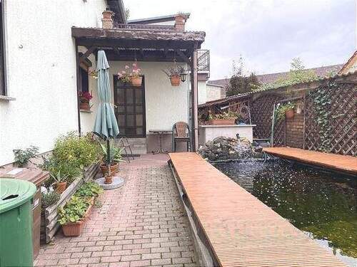 Teich - 