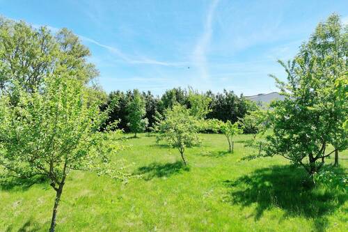 Ansicht zum Obstgarten - 
