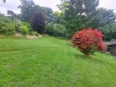 Bild - 