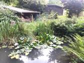 Bild - 