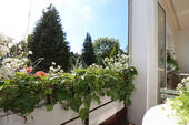 Balkon - 