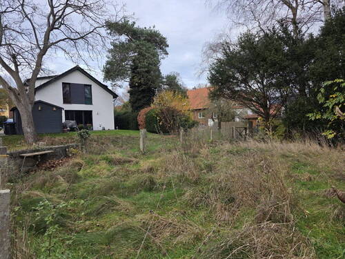 Gesamter Garten - 