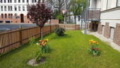 IMG-20170427-WA0000.jpeg - 