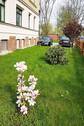 Delitzscher-Str.126-Vorgarten.jpg - 